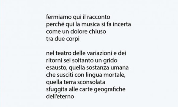 FILOMENA CIAVARELLA, Poesie (2020-1997) di Vittorino Curci